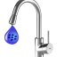 bb_leak